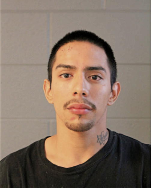 MARK A ROCHA, Cook County, Illinois