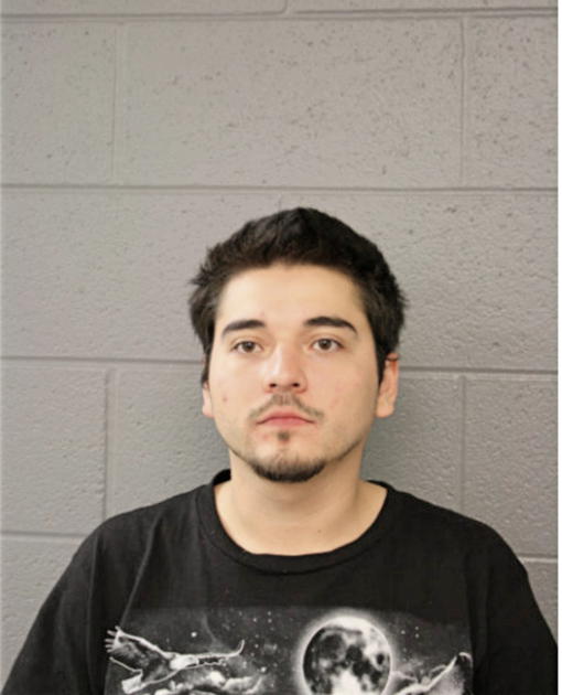 FERNANDO RUIZ, Cook County, Illinois