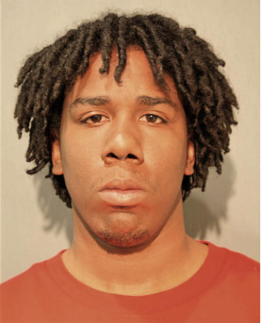 LAWRENCE D SANDERS, Cook County, Illinois