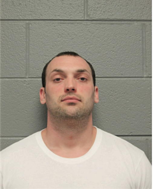 NICHOLAS A SOTO, Cook County, Illinois