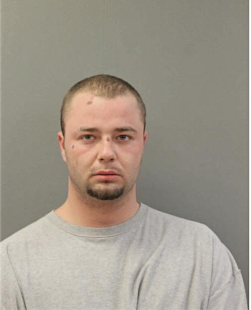 BRANDON ZIOMBER, Cook County, Illinois