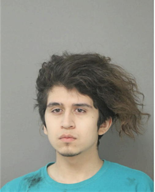 CARLOS A ARCE, Cook County, Illinois