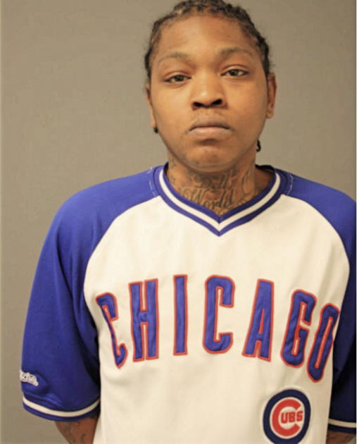 CHRISTOPHER E BELL, Cook County, Illinois