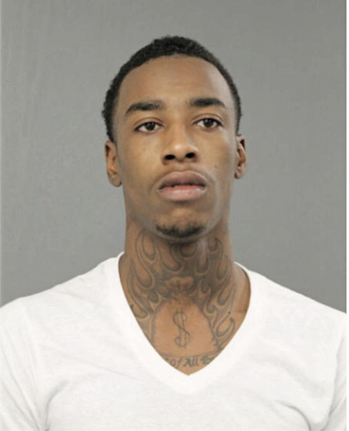 BRANDON L BROWN, Cook County, Illinois