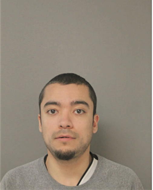 JUAN C COLUNGA, Cook County, Illinois