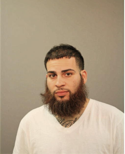 MICHAEL J DADDIO, Cook County, Illinois