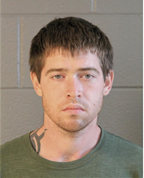 BRIAN J FRAINEY, Cook County, Illinois