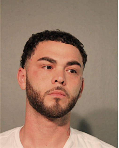 ANTHONY A GONZALEZ, Cook County, Illinois