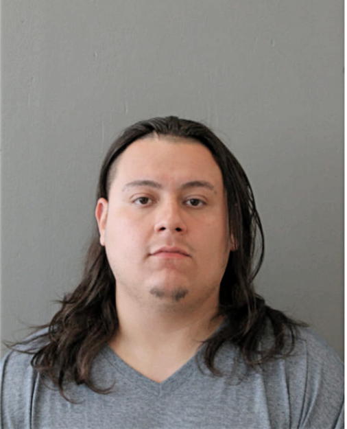 CRISTIAN GUZMAN, Cook County, Illinois