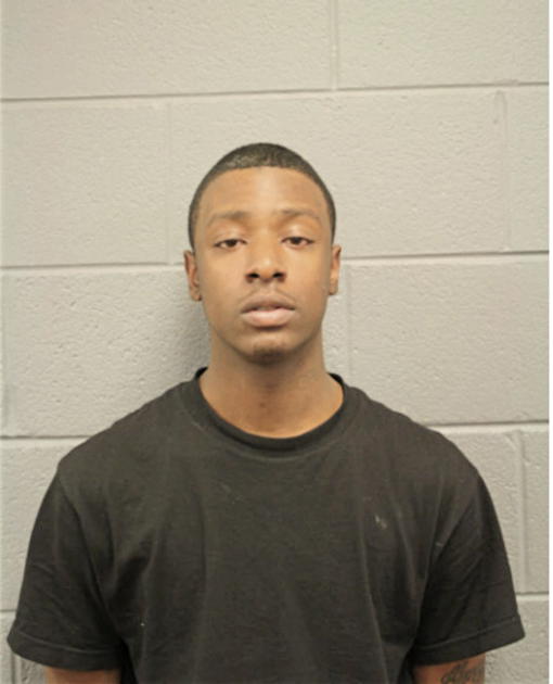 CHRISTIAN J HOLT, Cook County, Illinois