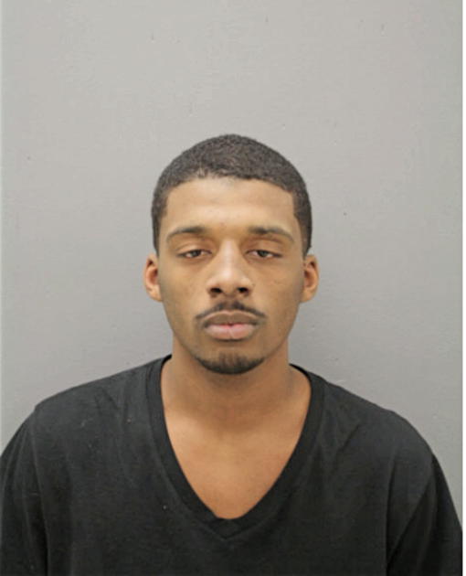 CHARLES L JOHNSON, Cook County, Illinois