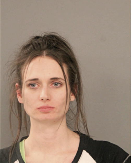 BRITTANY L VAN DYKE, Cook County, Illinois