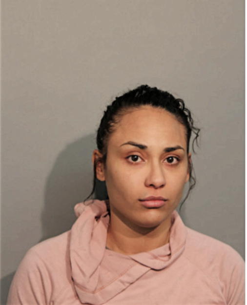 LAUREN L LOPEZ, Cook County, Illinois
