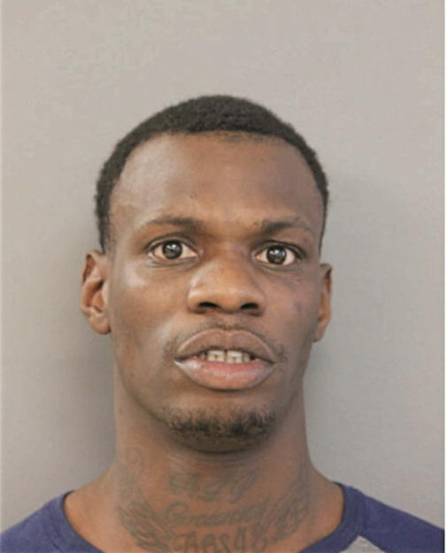 TIMOTHY T MCCLINTON, Cook County, Illinois