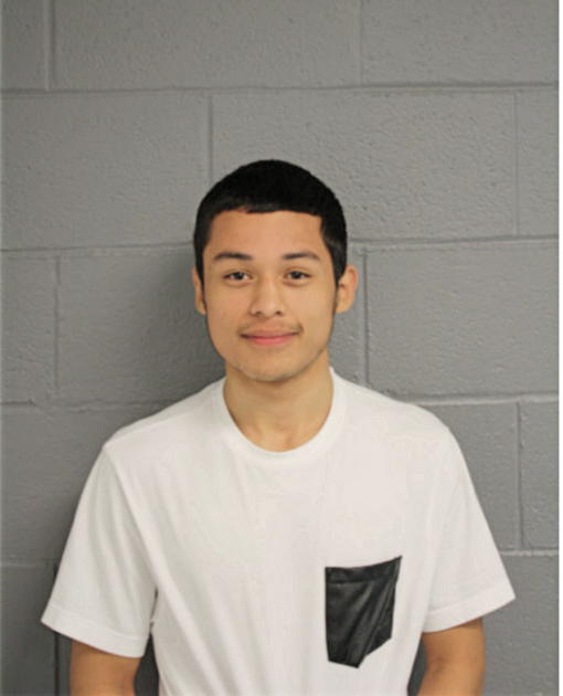 ISMAEL MEJIA, Cook County, Illinois