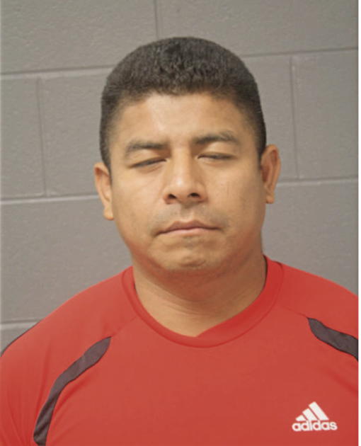 ALFREDO MENDEZ-ALVAREZ, Cook County, Illinois