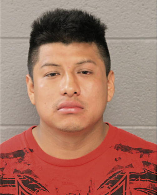 RENE ORTIZ, Cook County, Illinois