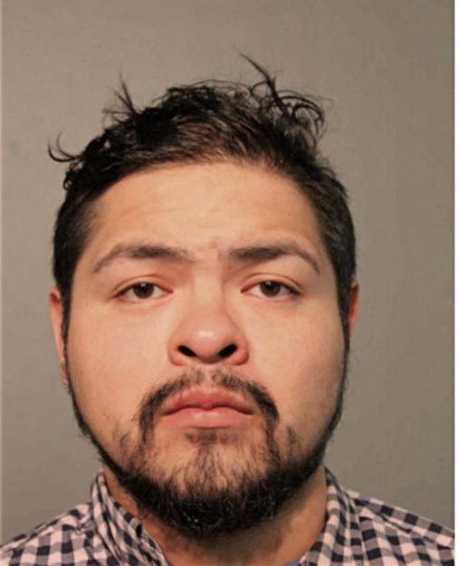 ERICK E ORTIZ-RODRIGUEZ, Cook County, Illinois