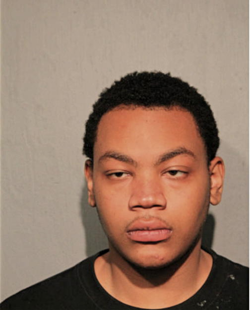 ERNEST E PAGE, Cook County, Illinois