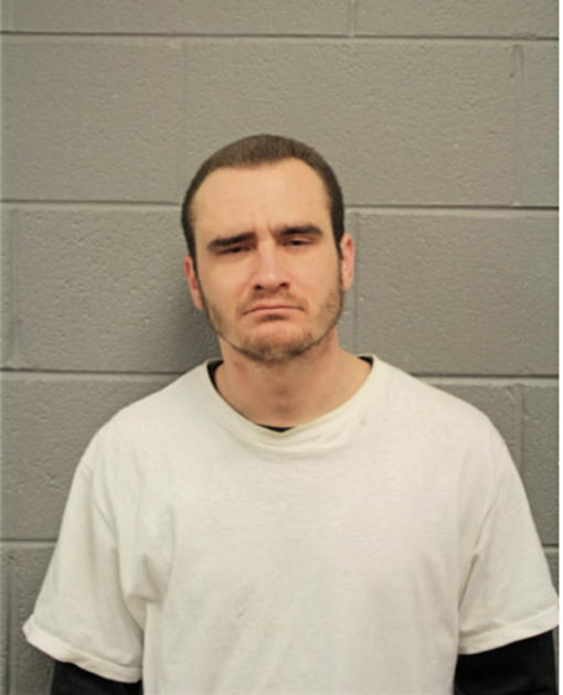 JOHN M PLUSA, Cook County, Illinois