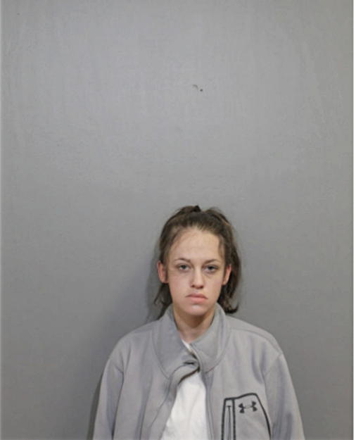 DANIELLE R GULIK, Cook County, Illinois