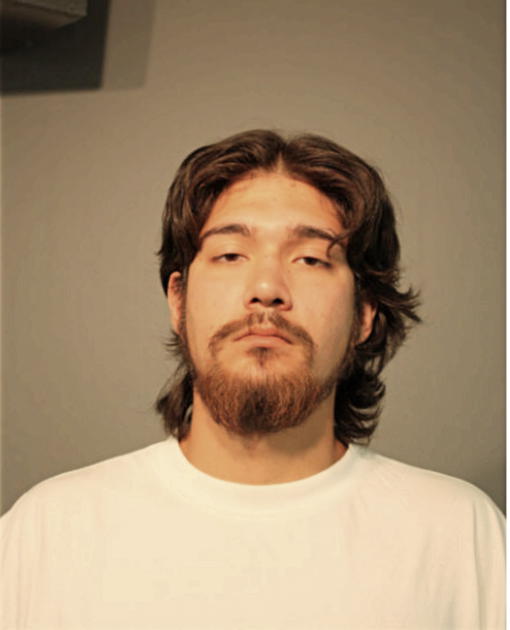 MARIO ROBERTSON, Cook County, Illinois