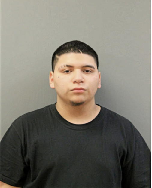 OMAR SALGADO, Cook County, Illinois