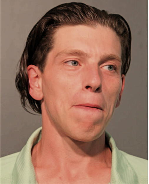 WILLIAM O SHETLER, Cook County, Illinois