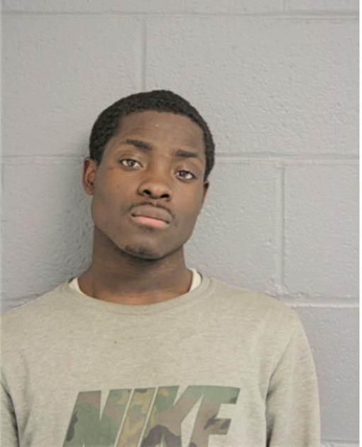 DASHAWN J SHINAUL, Cook County, Illinois