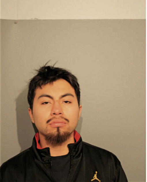 LUIS J SILVA, Cook County, Illinois