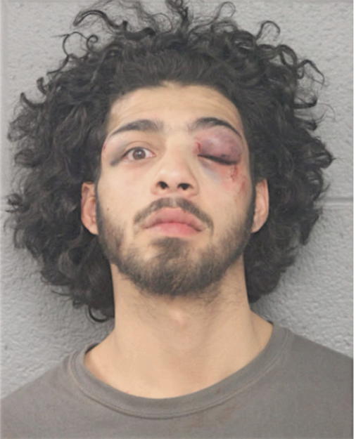 HERIBERTO VIRAMONTES, Cook County, Illinois