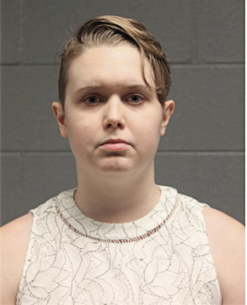 SARAH ANNE WILSON, Cook County, Illinois