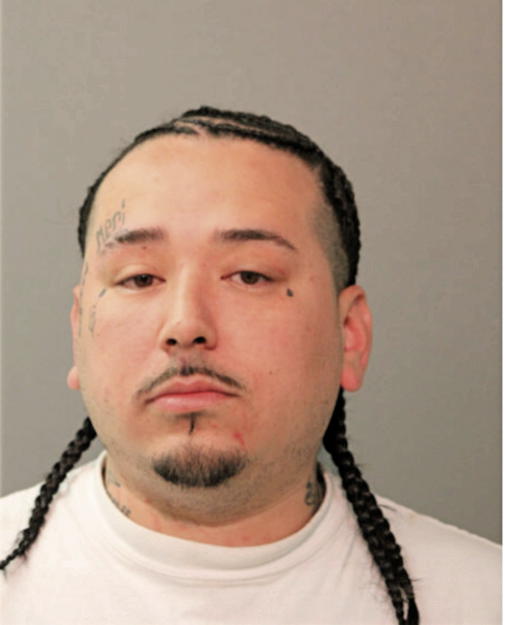 NELSON AGUILAR, Cook County, Illinois