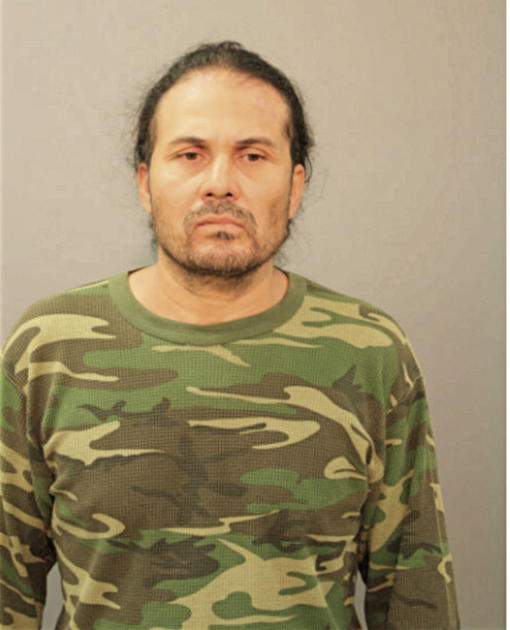 LUIS G ALVARENGA, Cook County, Illinois
