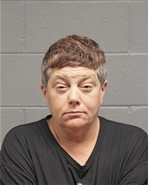 AMY E COLOMB, Cook County, Illinois