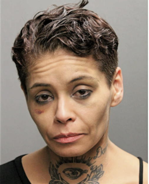 AMIEE CRUZ, Cook County, Illinois