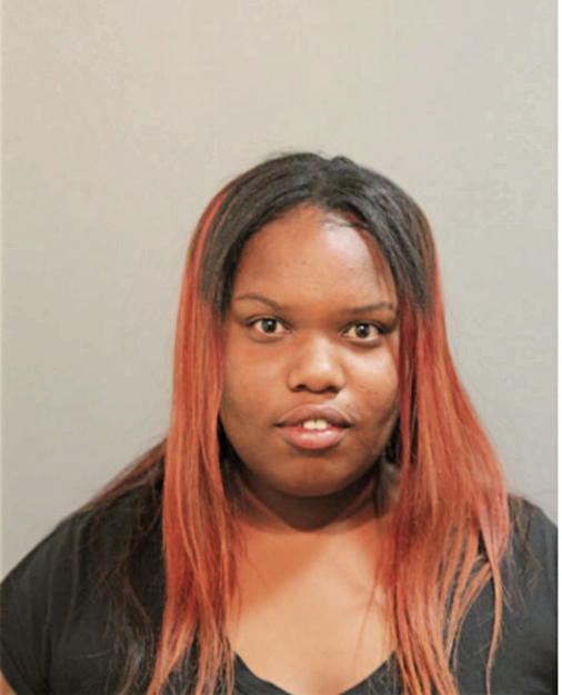 ARIEL N DILLON, Cook County, Illinois