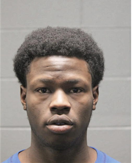 DESHAWNNA T GUY, Cook County, Illinois