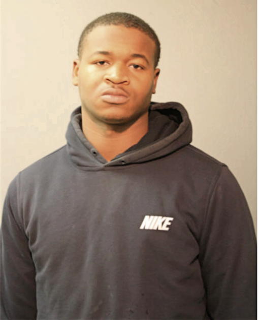 TORIAN D JOHNSON, Cook County, Illinois