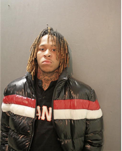 DENNIS L DIXON, Cook County, Illinois