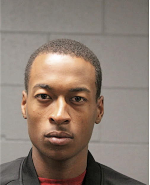 MICHAEL A LEE, Cook County, Illinois