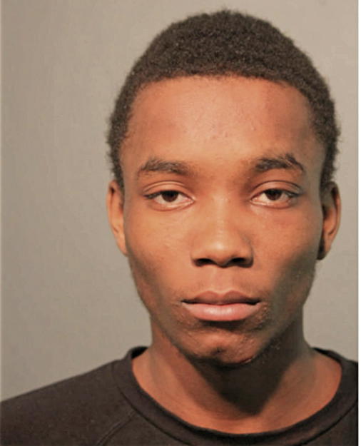 TONY D LEE, Cook County, Illinois