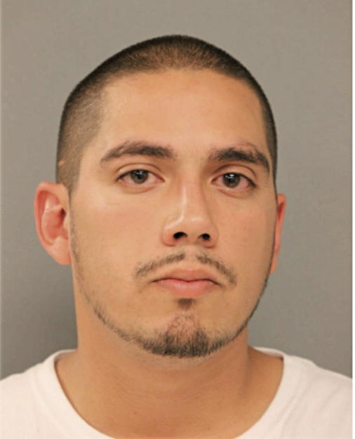 LEO A MAGANA, Cook County, Illinois
