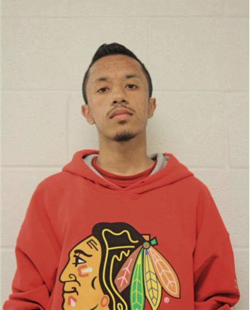 JOSEPH R MANDAL, Cook County, Illinois
