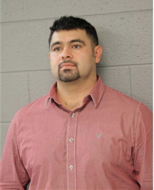 ALDO MOYA, Cook County, Illinois