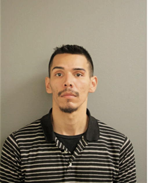 CARLOS D NEGRETE, Cook County, Illinois