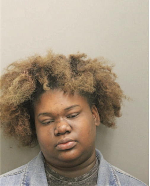 NINA S RICHARDSON, Cook County, Illinois