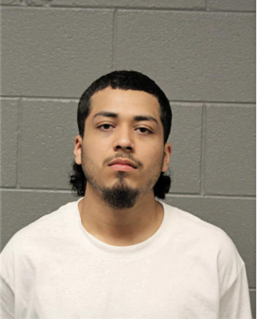 CHRISTOPHER J SAEZ, Cook County, Illinois