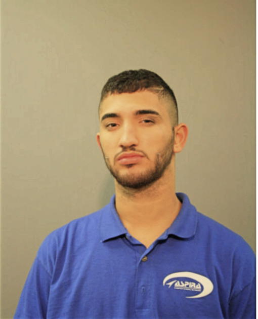 JAIME N SANCHEZ, Cook County, Illinois