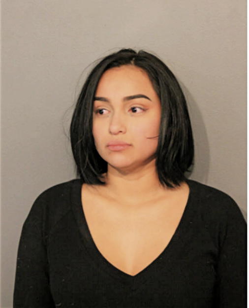 SOPHIA W SANTOS, Cook County, Illinois